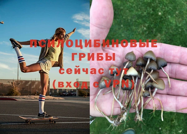 мяу мяу кристалл Переславль-Залесский