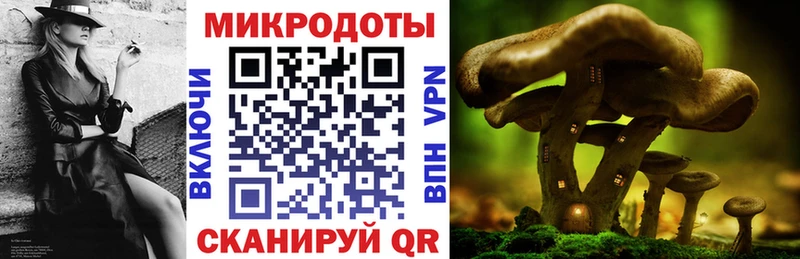 Галлюциногенные грибы прущие грибы  где купить наркотик  Ахтубинск 