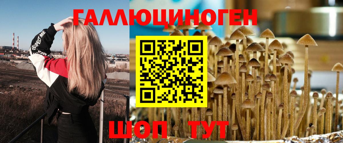Псилоцибиновые грибы GOLDEN TEACHER Ахтубинск