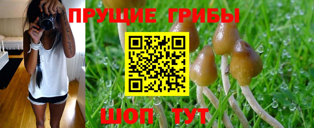 Галлюциногенные грибы ЛСД Ахтубинск