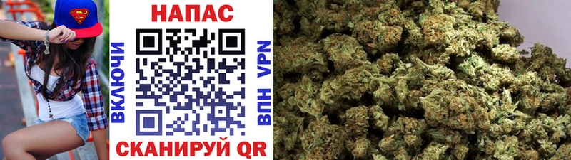 дарк нет наркотические препараты  где купить наркотик  Ахтубинск  Канабис OG Kush 